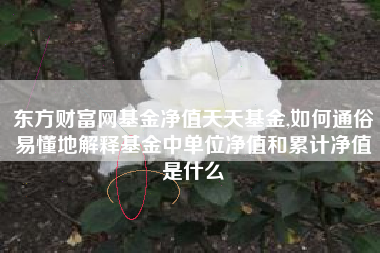 东方财富网基金净值天天基金,如何通俗易懂地解释基金中单位净值和累计净值是什么