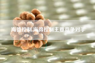 详细阅读:海德控制,海得控制主要竞争对手 海德控制,海得控制主要竞争对手