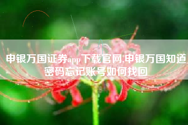 申银万国证券app下载官网,申银万国知道密码忘记账号如何找回