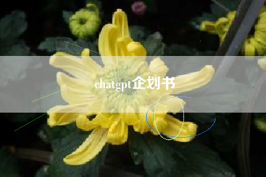 chatgpt企划书