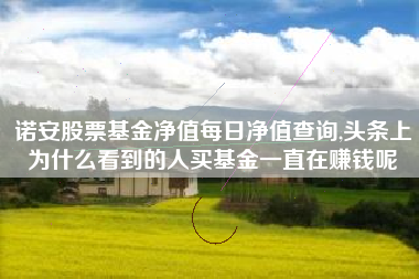 诺安股票基金净值每日净值查询,头条上为什么看到的人买基金一直在赚钱呢