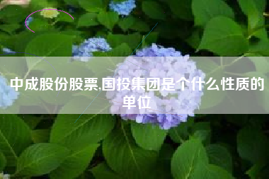中成股份股票,国投集团是个什么性质的单位