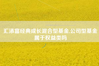 汇添富经典成长混合型基金,公司型基金属于权益类吗