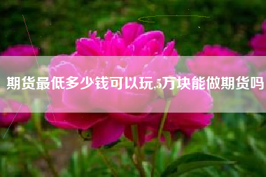期货最低多少钱可以玩,5万块能做期货吗