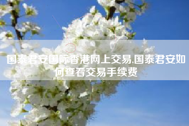 国泰君安国际香港网上交易,国泰君安如何查看交易手续费