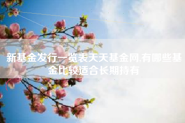 新基金发行一览表天天基金网,有哪些基金比较适合长期持有