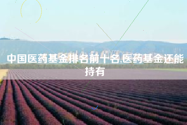 中国医药基金排名前十名,医药基金还能持有