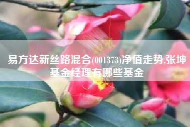 易方达新丝路混合(001373)净值走势,张坤基金经理有哪些基金
