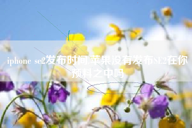 iphone se2发布时间,苹果没有发布SE2在你预料之中吗