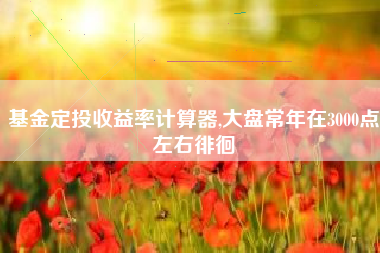 基金定投收益率计算器,大盘常年在3000点左右徘徊