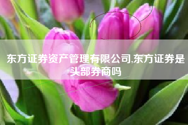 东方证券资产管理有限公司,东方证券是头部券商吗