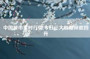中国股市实时行情,今日三大股指探底回升