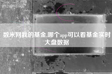 详细阅读:数米网我的基金,哪个app可以看基金实时大盘数据 数米网我的基金,哪个app可以看基金实时大盘数据