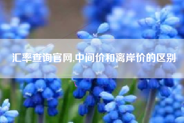 汇率查询官网,中间价和离岸价的区别
