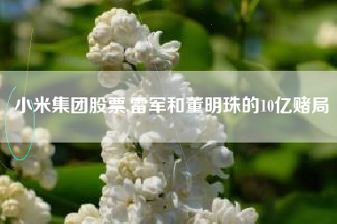 详细阅读:小米集团股票,雷军和董明珠的10亿赌局 小米集团股票,雷军和董明珠的10亿赌局