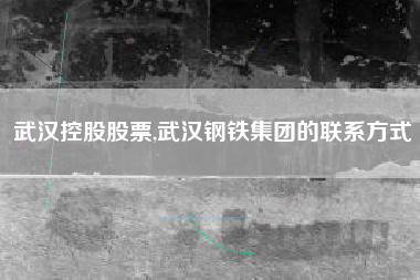 武汉控股股票,武汉钢铁集团的联系方式