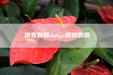 跟我聊聊chatgpt啊啊啊啊