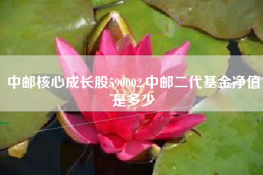 中邮核心成长股590002,中邮二代基金净值是多少
