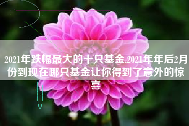 2021年跌幅最大的十只基金,2021年年后2月份到现在哪只基金让你得到了意外的惊喜