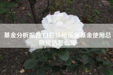 基金分析报告,口腔诊所医保基金使用总额预估怎么写