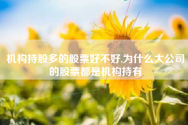 机构持股多的股票好不好,为什么大公司的股票都是机构持有