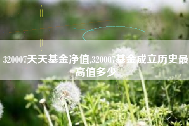 320007天天基金净值,320007基金成立历史最高值多少
