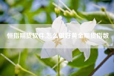 恒指期货软件,怎么做好黄金期货指数