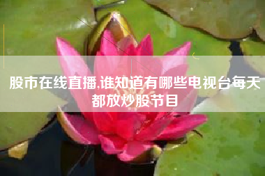 股市在线直播,谁知道有哪些电视台每天都放炒股节目