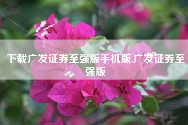 下载广发证券至强版手机版,广发证券至强版