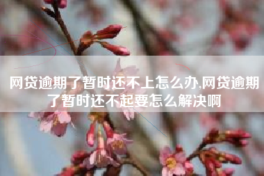 网贷逾期了暂时还不上怎么办,网贷逾期了暂时还不起要怎么解决啊