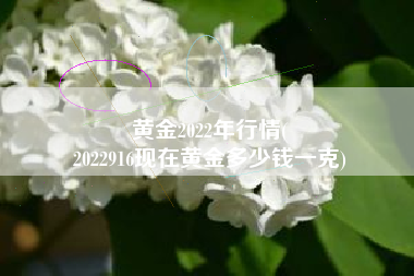 黄金2022年行情(
2022916现在黄金多少钱一克) 黄金2022年行情(
2022916现在黄金多少钱一克)