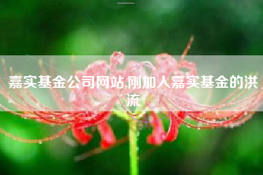 嘉实基金公司网站,刚加入嘉实基金的洪流