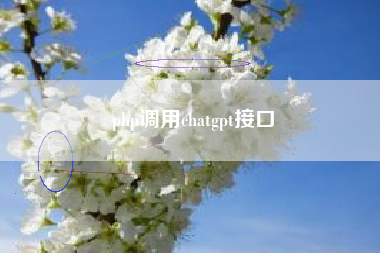 php调用chatgpt接口