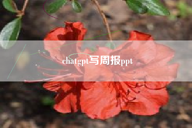 chatgpt写周报ppt
