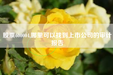 股票600004,哪里可以找到上市公司的审计报告