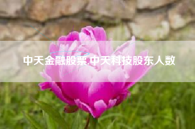 中天金融股票,中天科技股东人数