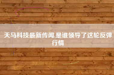 天马科技最新传闻,是谁领导了这轮反弹行情