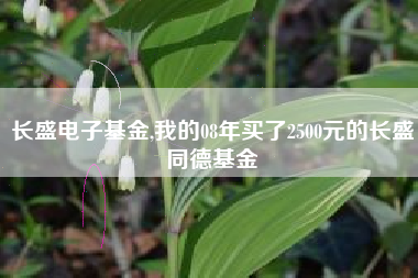 长盛电子基金,我的08年买了2500元的长盛同德基金