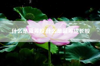 什么是蓝筹股,什么是蓝筹成长股