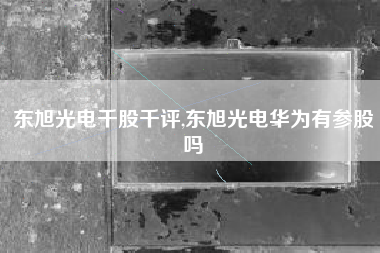 东旭光电千股千评,东旭光电华为有参股吗