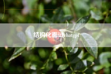 结构化面试chatgpt