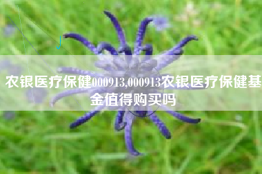 农银医疗保健000913,000913农银医疗保健基金值得购买吗