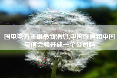 国电电力重组最新消息,中国联通和中国电信会和并成一个公司吗