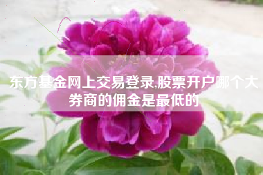 东方基金网上交易登录,股票开户哪个大券商的佣金是最低的