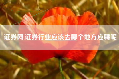 证券网,证券行业应该去哪个地方应聘呢