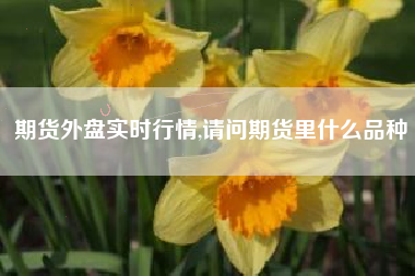 期货外盘实时行情,请问期货里什么品种