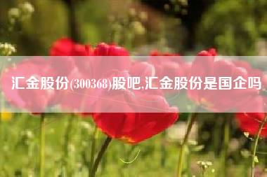 汇金股份(300368)股吧,汇金股份是国企吗