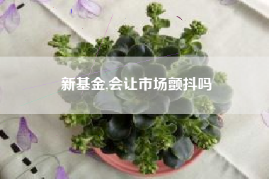 新基金,会让市场颤抖吗