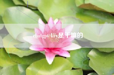 chatgpt key是干嘛的