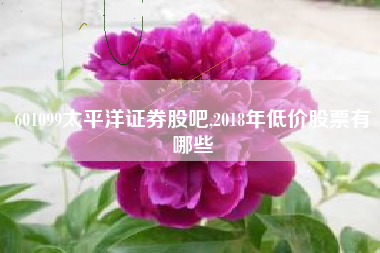 601099太平洋证券股吧,2018年低价股票有哪些